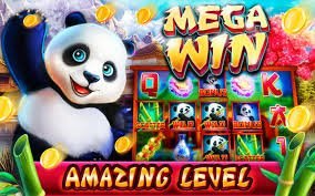 144 win bet